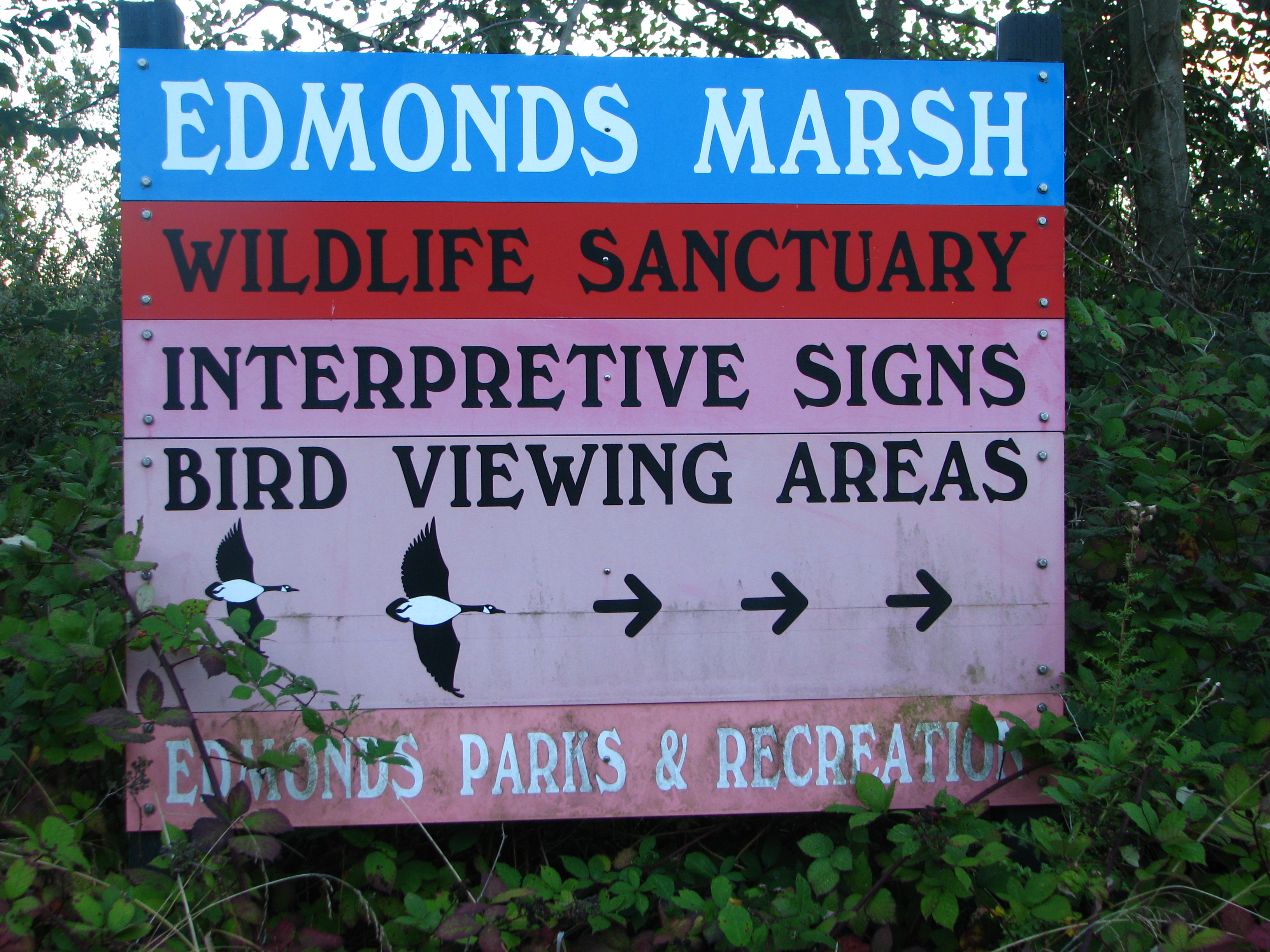 Edmonds Sign Edmonds Marsh Clone | Sierra Club