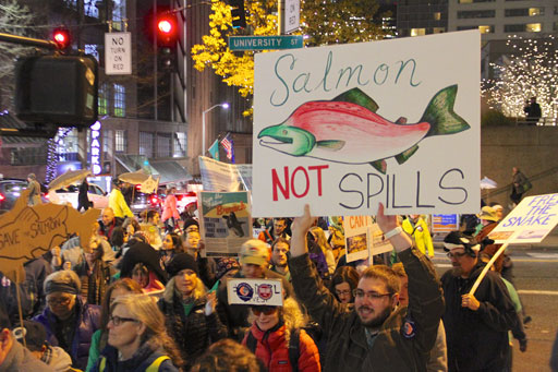 Free the Snake Rally in Seattle