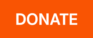 Orange donate button