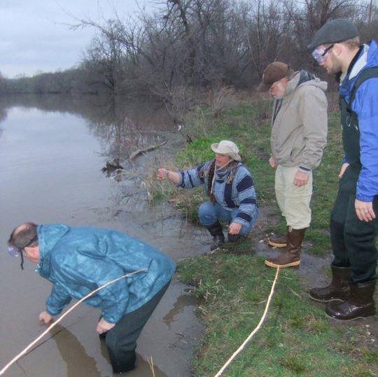 Water cleanup