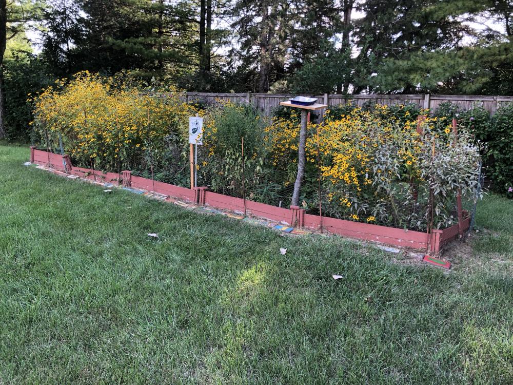 Butterfly Garden photo taken by Bruce Glickson