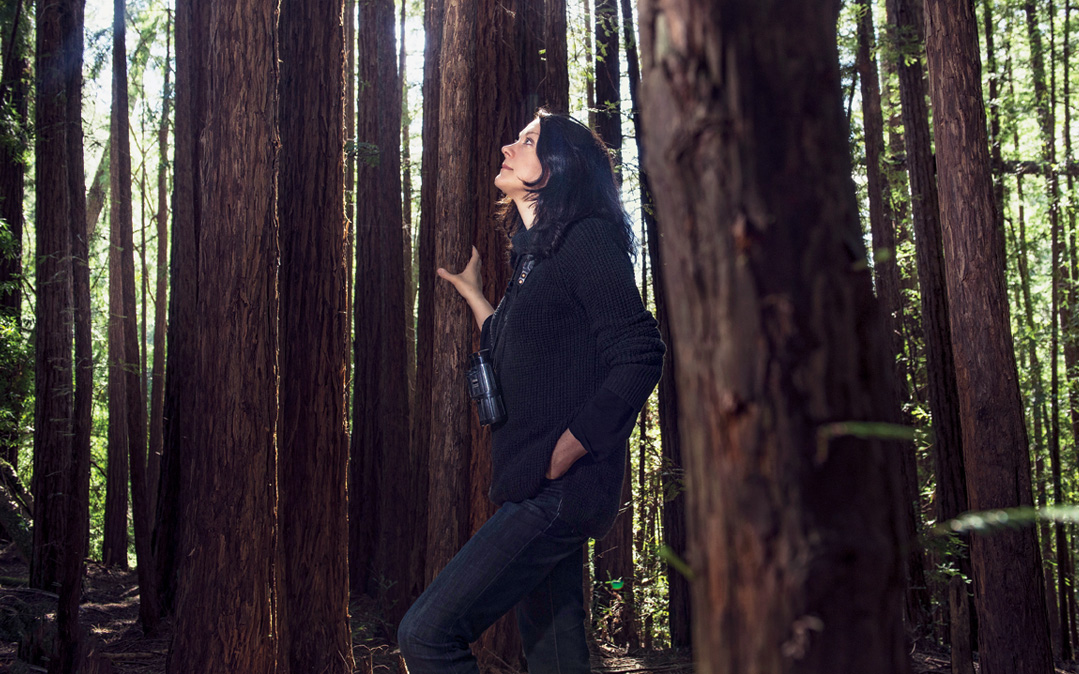 Naturalist and writer Helen Macdonald takes a breather in a redwood grove while on a book tour.