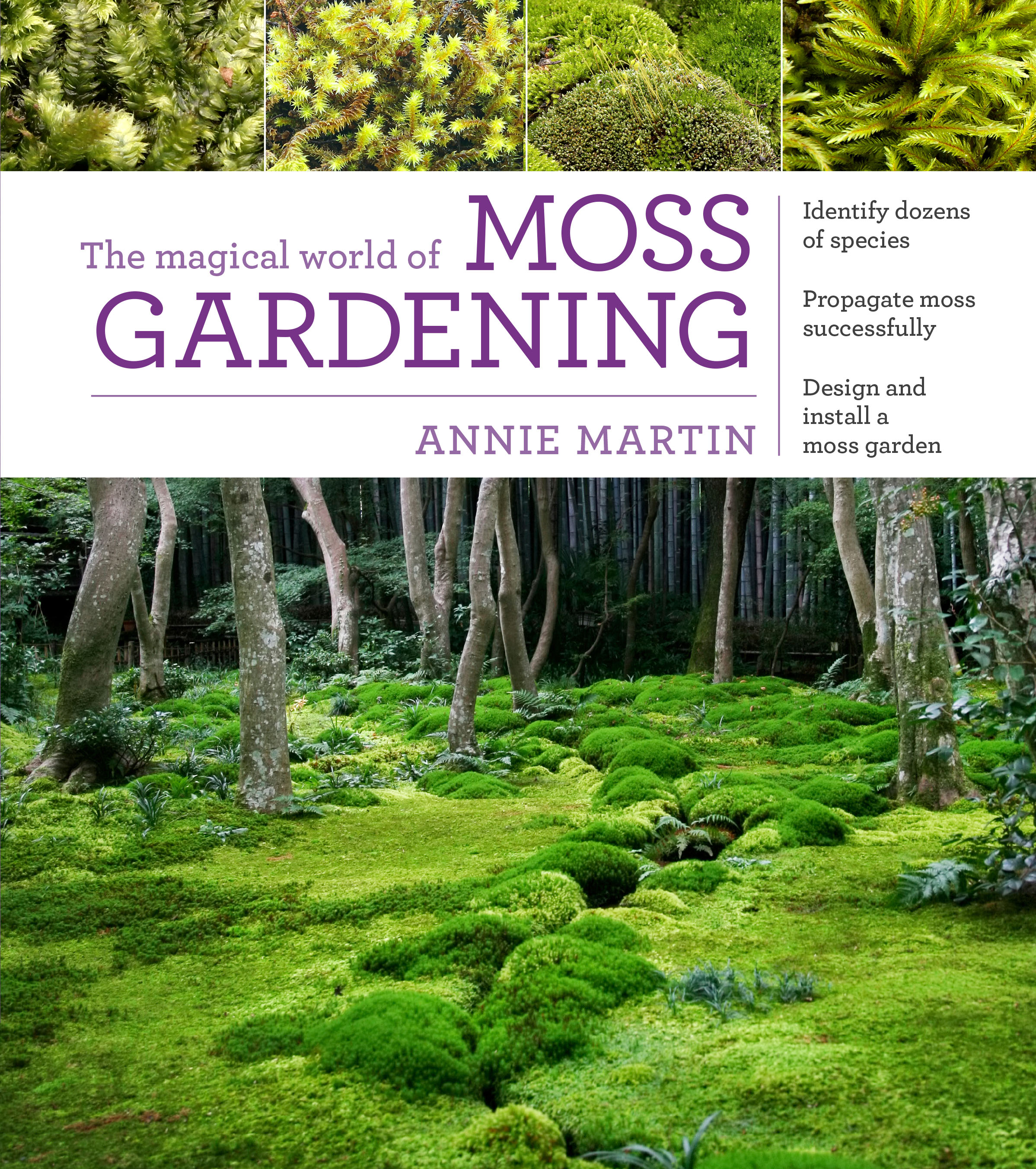 The Magical World of Moss Gardening by Annie Martin