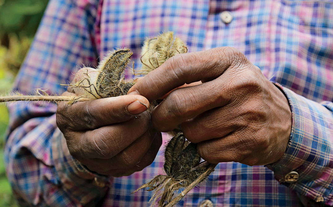 Nandlal Baiga, outside his home, which sits atop a coal deposit in India.
