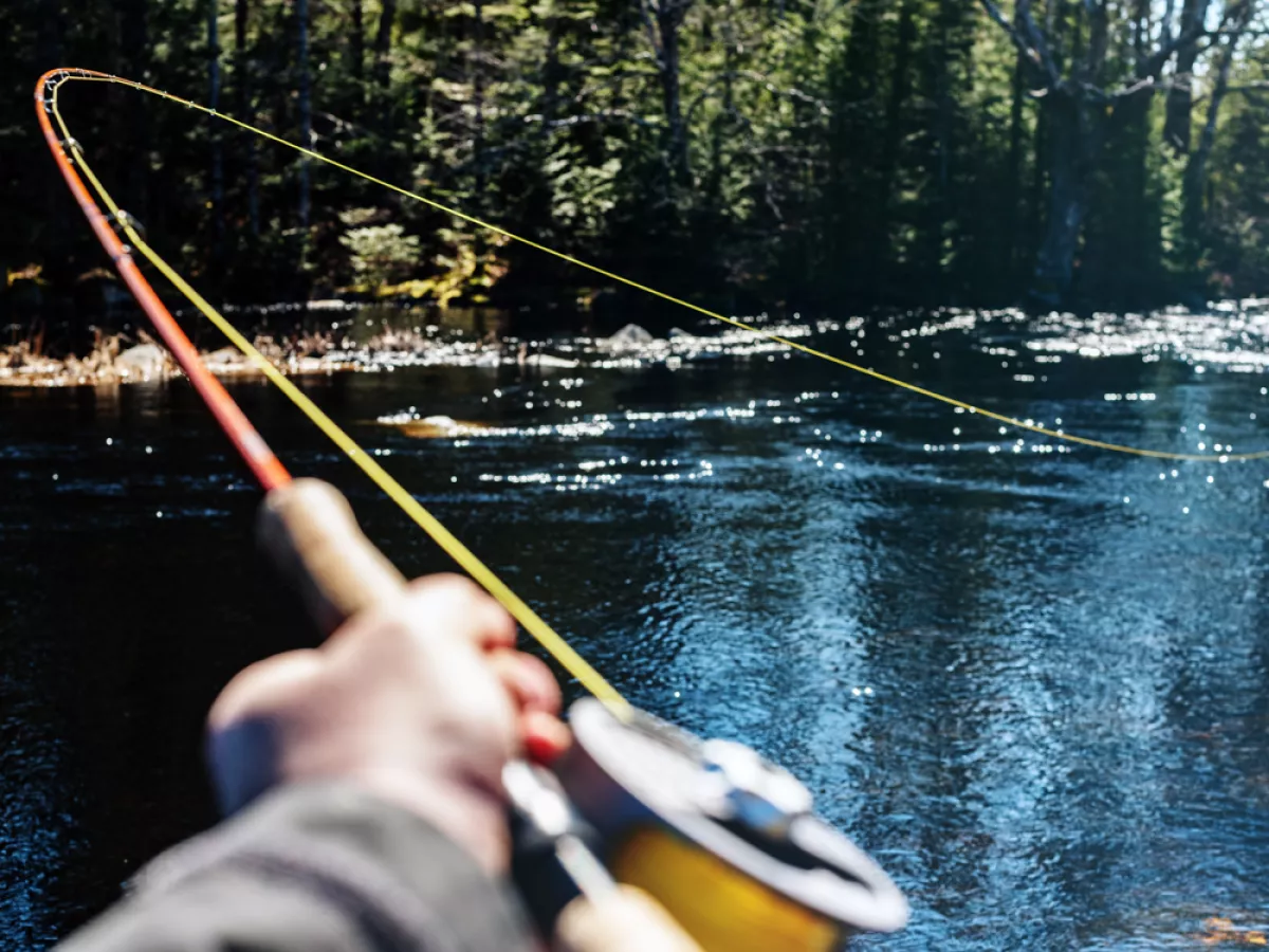 Keep your fly rods safe on road trips this season with this easy