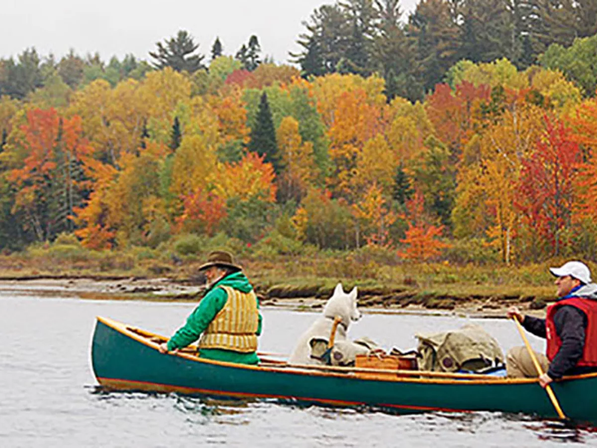 West Branch Canoe Paddle