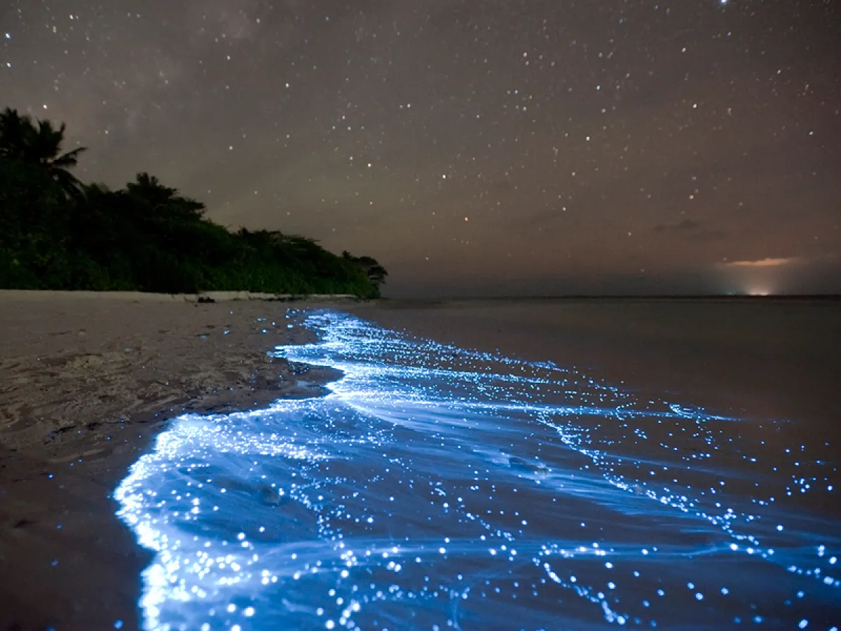 Amazing Natural Phenomena: The Planet