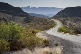 A road winds through cactuses and scrub with mountains looming in the distance