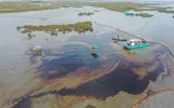 An aerial view shows the affected area of marsh environment near Garden Island Bay, La., on May 1, 2025. (U.S. Coast Guard via AP)