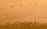 Smoke from wildfires in California covers buildings on the San Francisco skyline. Photographer: Michael Short/Bloomberg