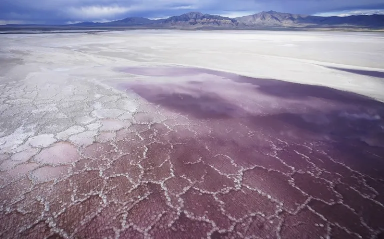 Photo by Rick Bowmer/AP