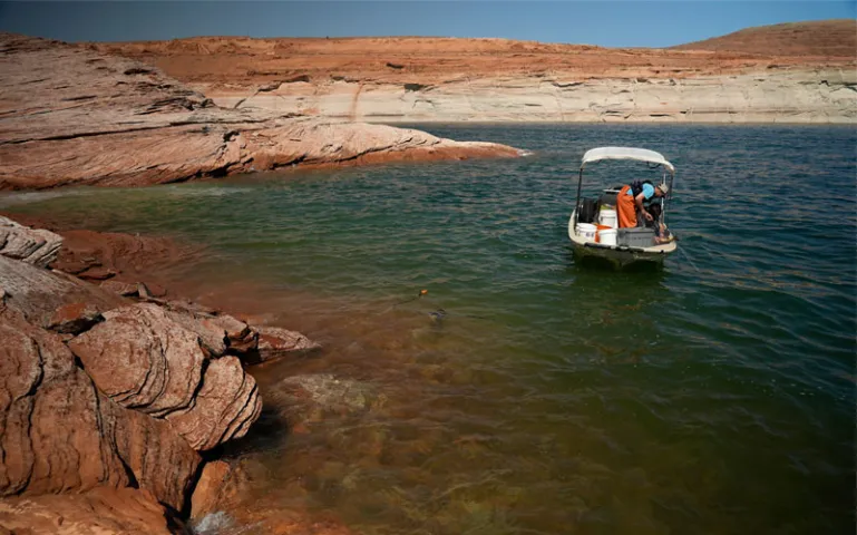 A Utah State University research team works at Lake Powell on June 7, 2022, in Page, Ariz. Confirming their worst fears for record-low lake levels, National Park Service fisheries biologists have discovered that smallmouth bass, a non-native predator fish, has made its way through Glen Canyon dam and appear to have spawned in the lower Colorado River, where it can prey on humpback chub, an ancient native fish they have been working to reestablish. 