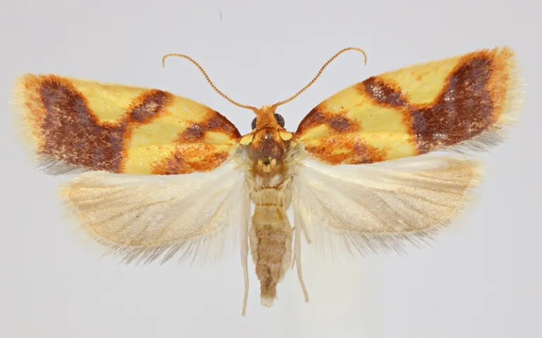 Photo by Kyhl Austin