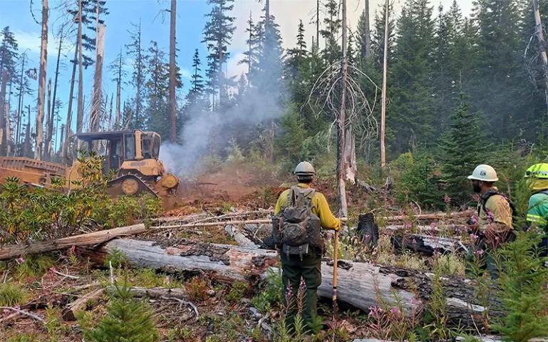 Firefighters from New Zealand and Australia worked with rush to put out a forest fire within Grasshopper complex.