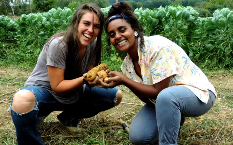 Sierra magazine's annual rankings of the most eco-literate colleges and universities