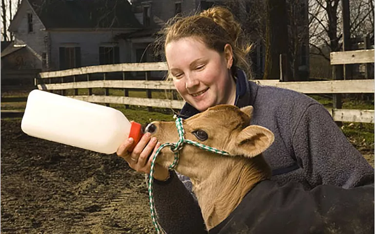University of New Hampshire