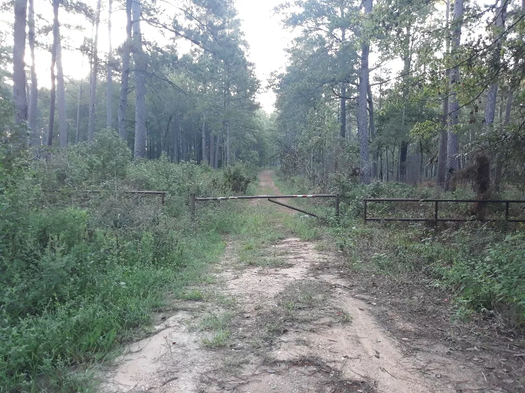 Illegally Constructed Road