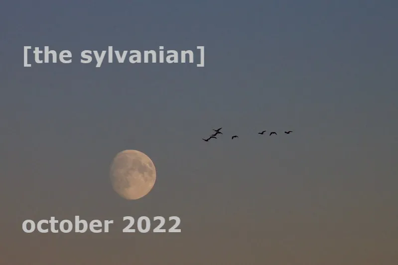 [the sylvanian] October 2022