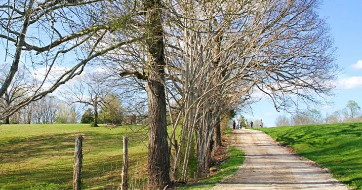 Photo of rural property