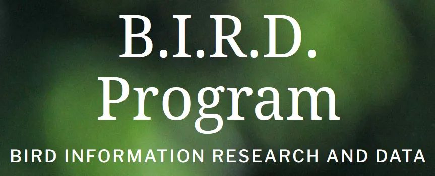 BIRD Program logo