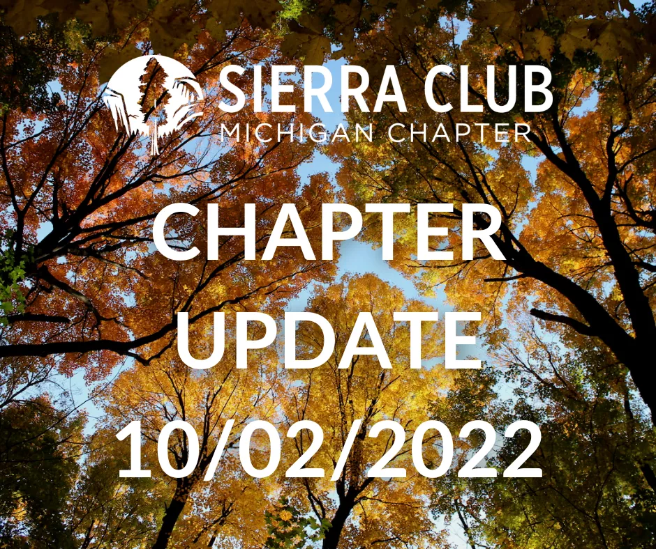 view of fall trees from below with Sierra Club MI logo and the words "Chapter Update 10/02/2022" over image