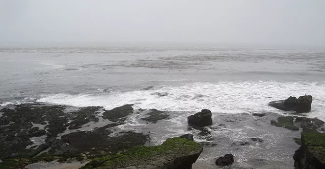 Coastal Fog at Rock View, mid county