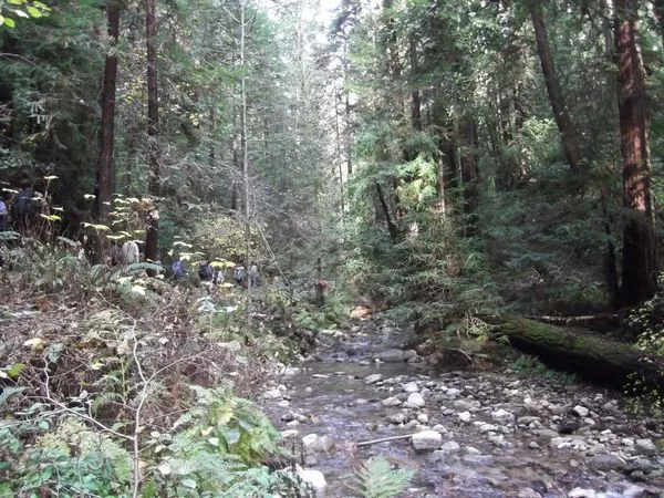 Fall Creek Flowing