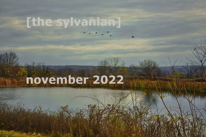 [the sylvanian] November 2022