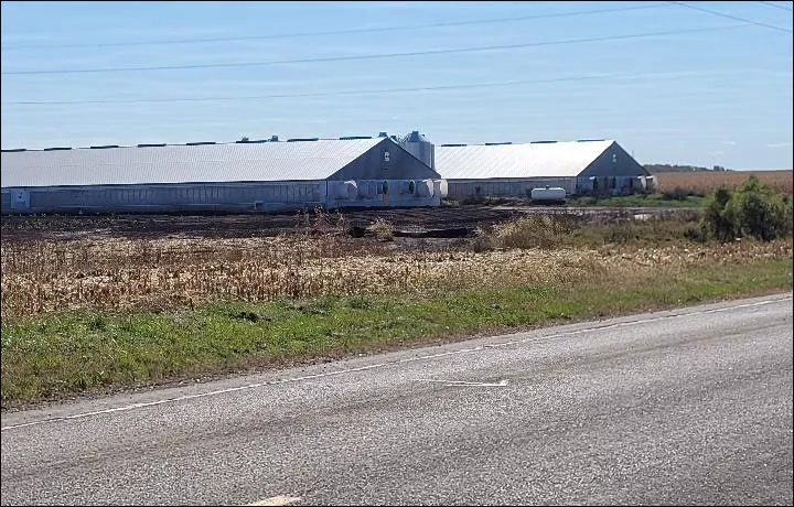 Princeville CAFO