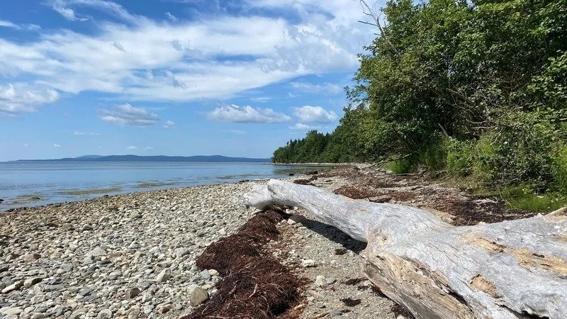 Sears Island