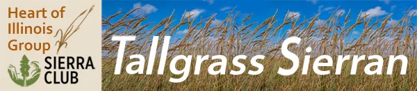 Tallgrass Sierran Masthead
