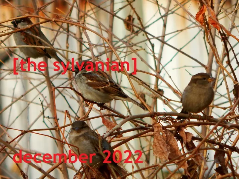 the sylvanian december 2022