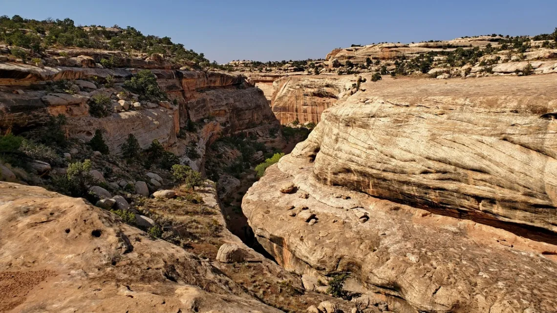 Looking northwest down Fry Canyon from the ruins overlook