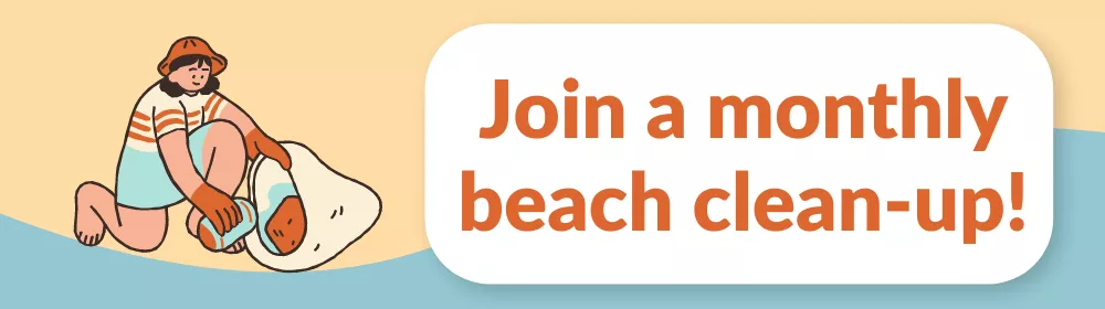 Join a monthly beach clean-up!