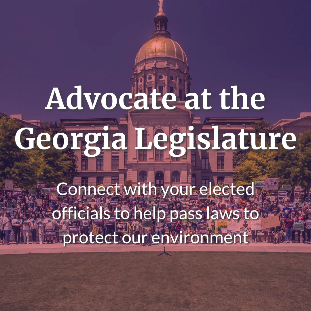 Advocate at the Georgia Legislature: Connect with your elected officials to help pass laws to protect our environment