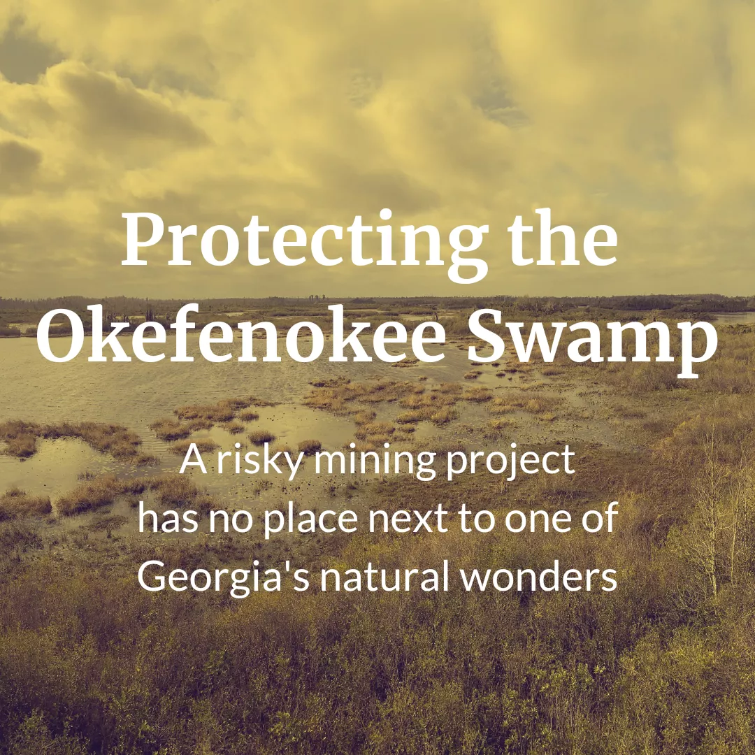 Protecting the Okefenokee Swamp: A risky mining project has no place next to one of Georgia's natural wonders