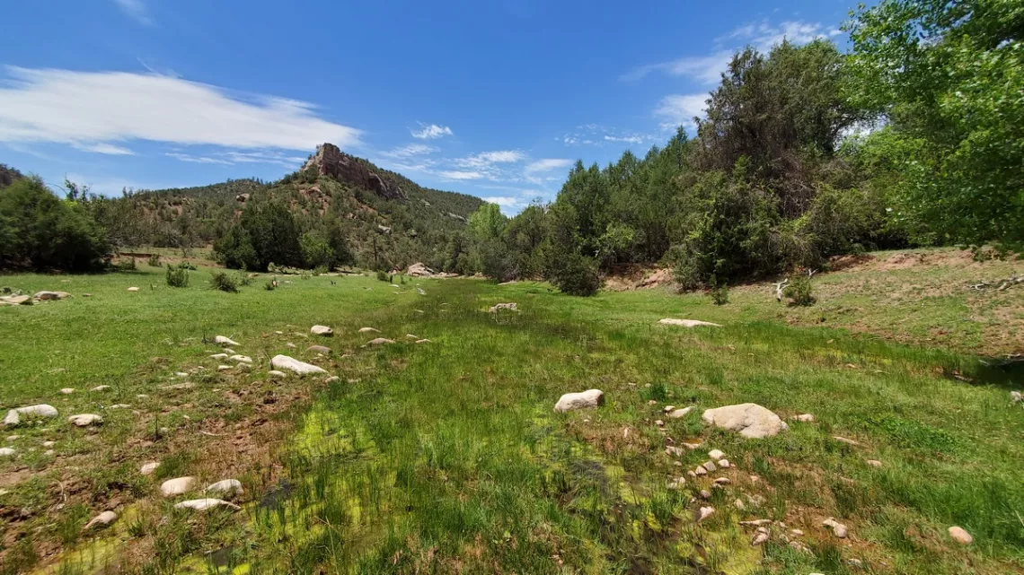 Looking west toward the head of the Largo Creek drainage