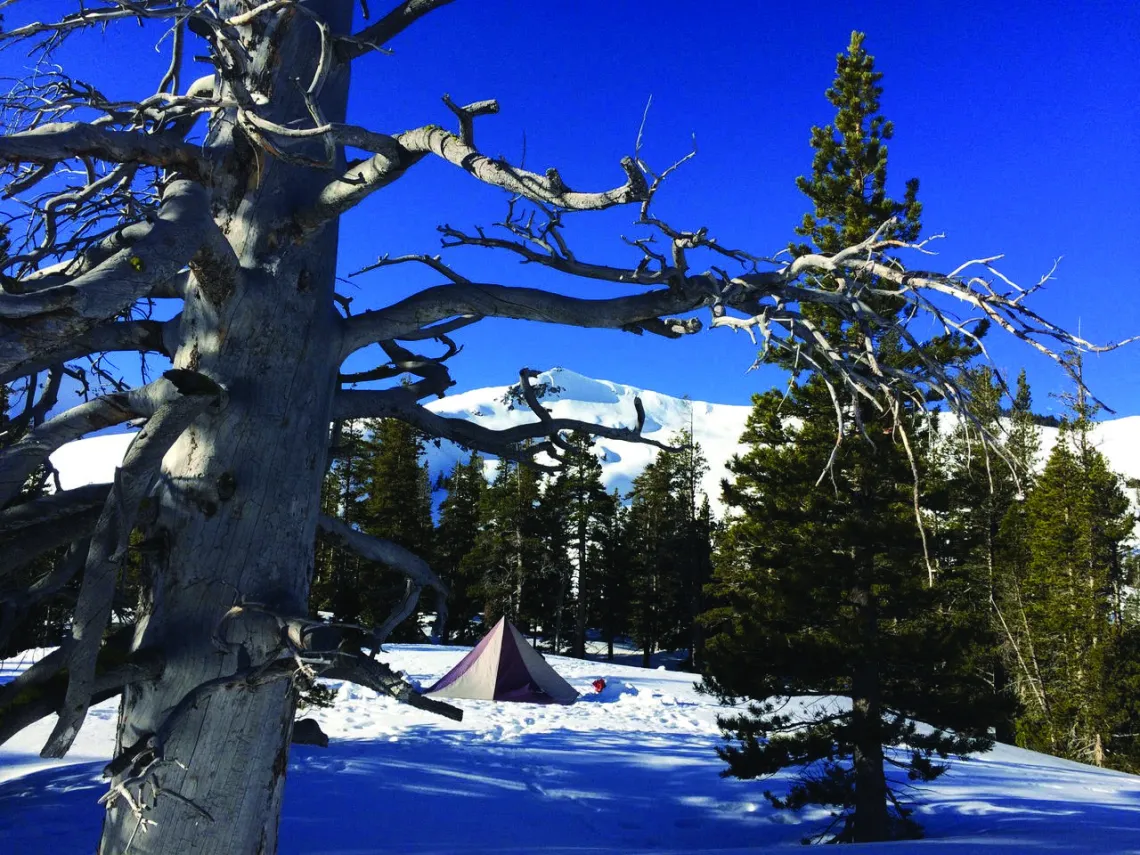 Tent in the snow under a deep blue sky.