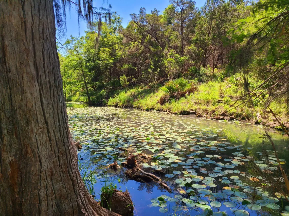 Honey Creek