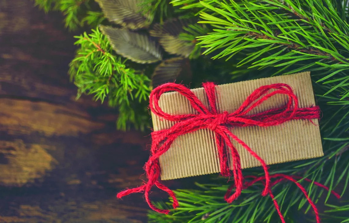 Holiday gift in pine needles