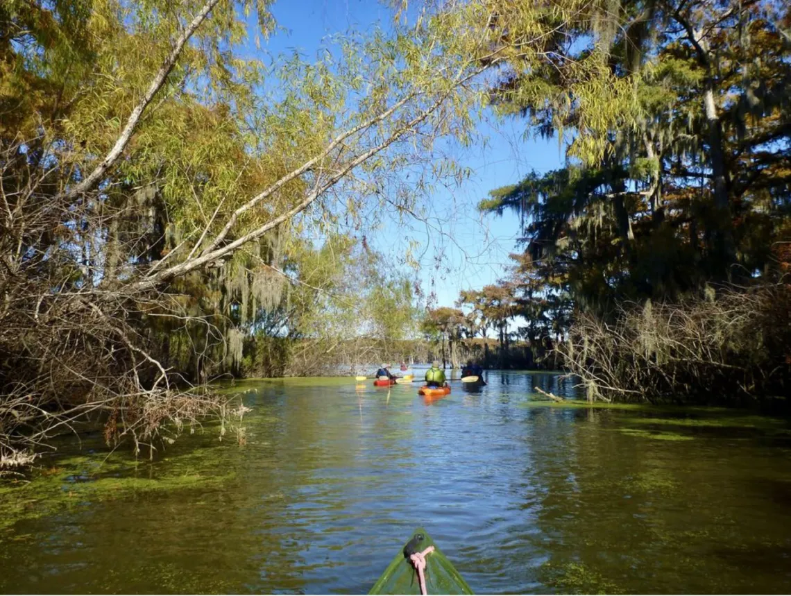 Into Mud Lake