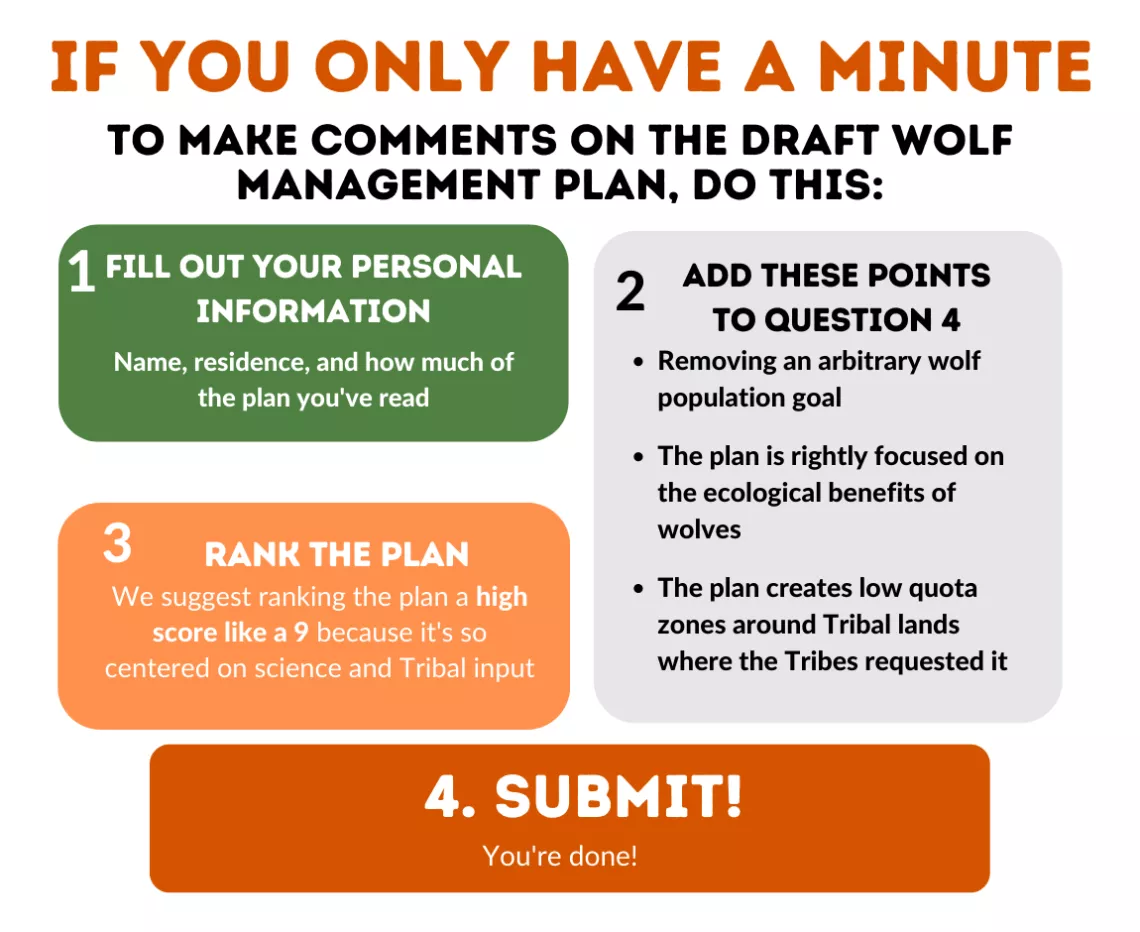 Instructions for supporting the draft Wolf Management Plan