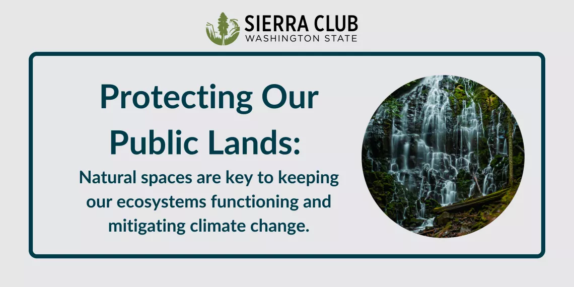 Protecting Our Public Lands