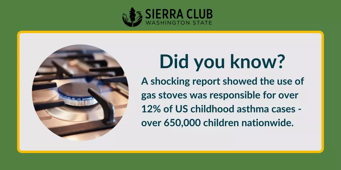 A shocking report showed the use of gas stoves was responsible for over 12% of US childhood asthma cases - over 650,000 children nationwide.