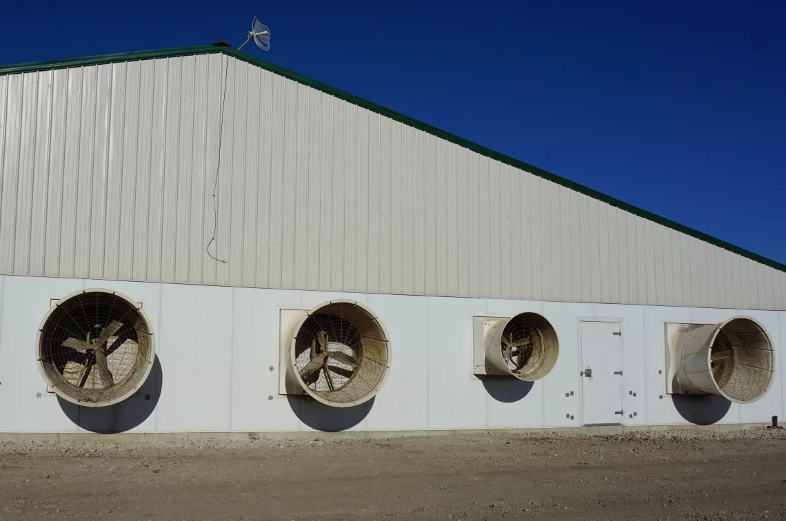 confinement building - a factory farm building