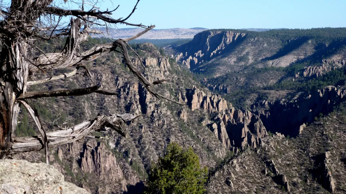 Looking northwest across Middle Fork of Gila River