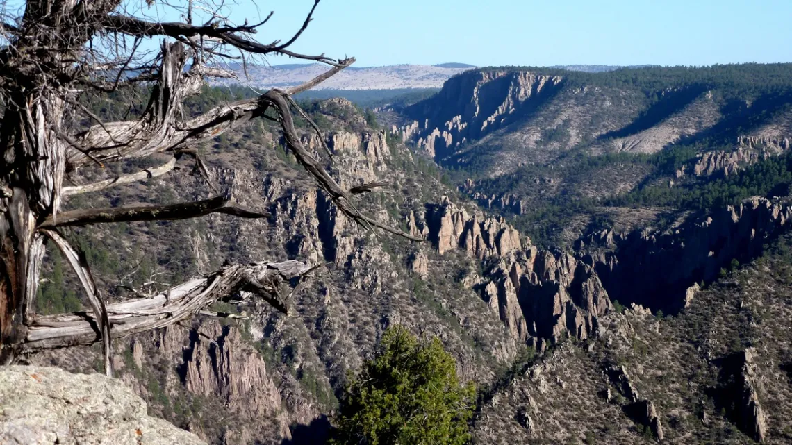 Looking northwest across Middle Fork of Gila River
