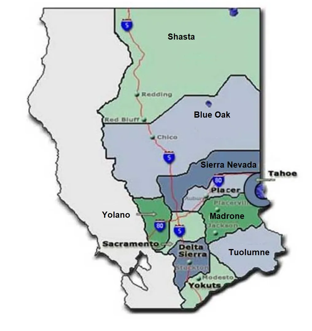 MLC Region and Groups