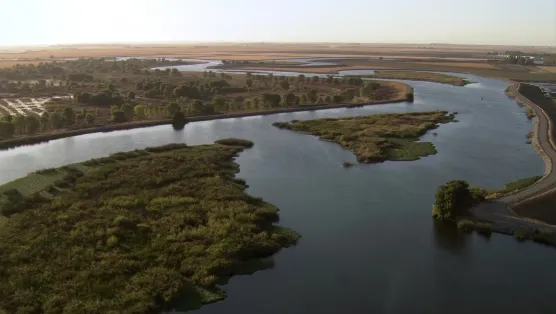 delta river