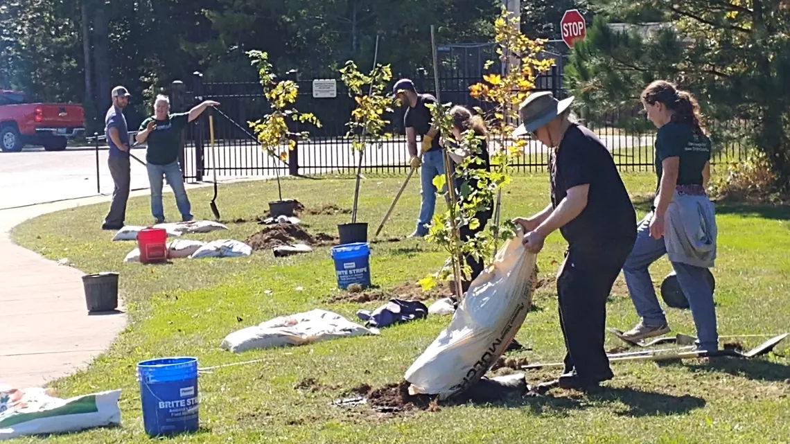 A few people plant trees on the side of a park 